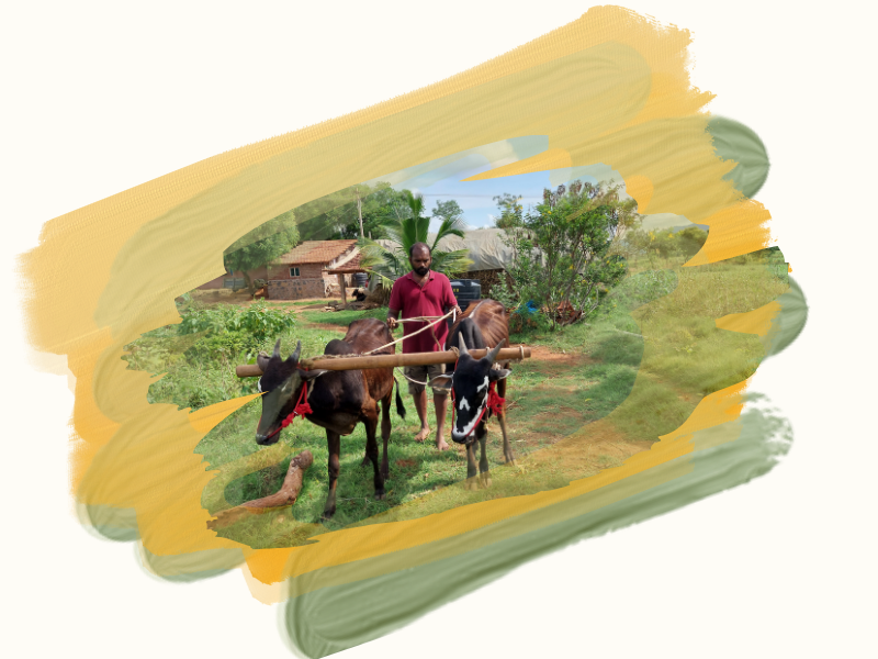 VEFS Foundation - Ecological Conservation and Community Welfare