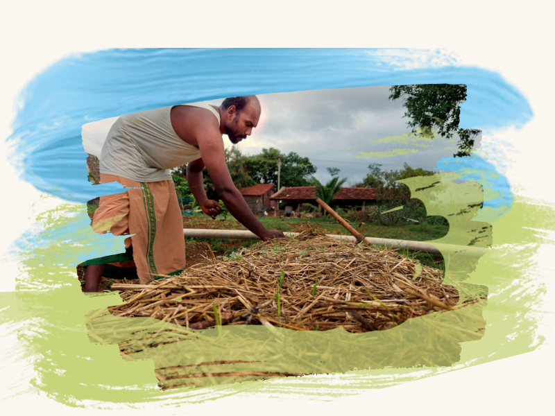 VEFS volunteers planting indigenous trees