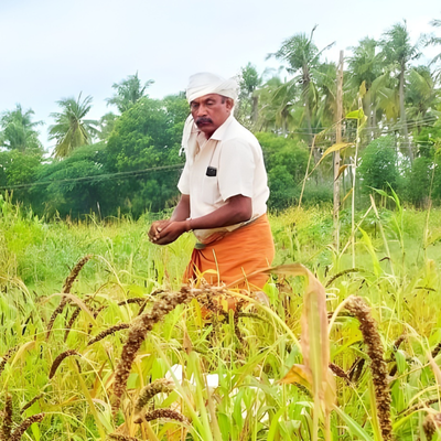 K. Rajasekaran - Secretary, VEFS Foundation